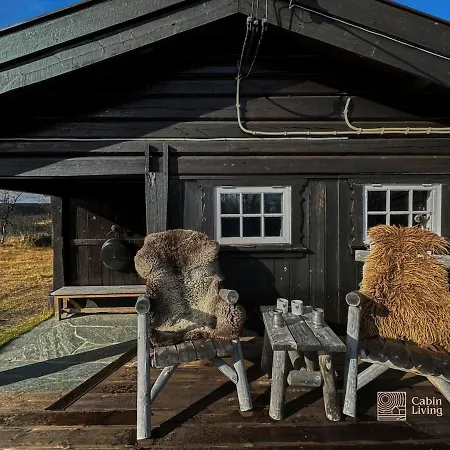 Cozy Near Geilo & Dagali Terrace, Grill, Fireplace, View & Wifi * Holo