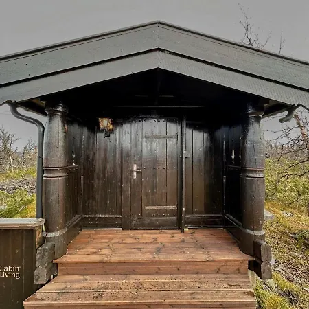 Cozy Near Geilo & Dagali Terrace, Grill, Fireplace, View & Wifi Holo