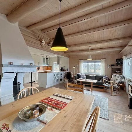 Cozy Near Geilo & Dagali Terrace, Grill, Fireplace, View & Wifi
