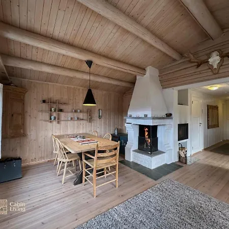 Cozy Near Geilo & Dagali Terrace, Grill, Fireplace, View & Wifi 度假居