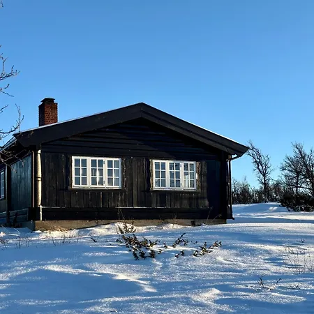 度假居 Cozy Near Geilo & Dagali Terrace, Grill, Fireplace, View & Wifi Holo