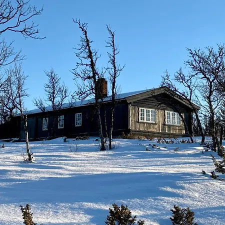 Cozy And Warm Mountain In Dagali Holiday home *