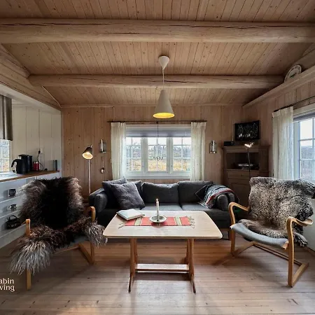 Cozy Near Geilo & Dagali Terrace, Grill, Fireplace, View & Wifi Vakantiehuis