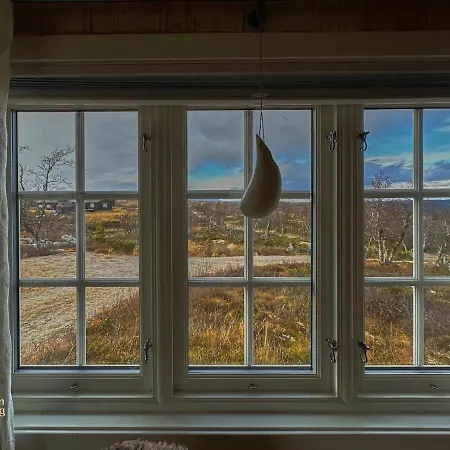 Cozy Near Geilo & Dagali Terrace, Grill, Fireplace, View & Wifi * Hol (Buskerud)