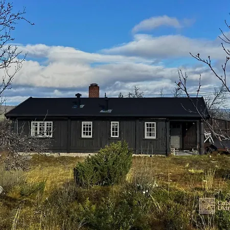 Cozy Near Geilo & Dagali Terrace, Grill, Fireplace, View & Wifi *