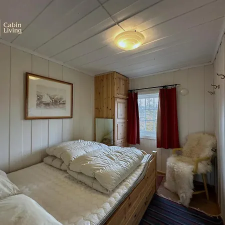 Cozy Near Geilo & Dagali Terrace, Grill, Fireplace, View & Wifi Hol (Buskerud)