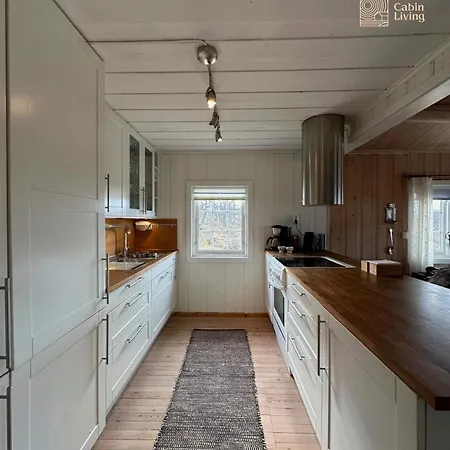 Cozy Near Geilo & Dagali Terrace, Grill, Fireplace, View & Wifi * Hol (Buskerud)