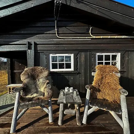 Vakantiehuis Cozy Near Geilo & Dagali Terrace, Grill, Fireplace, View & Wifi *